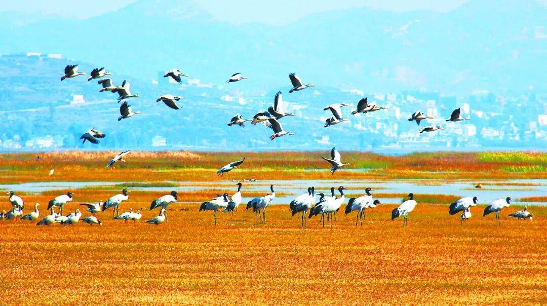 干旱区生态水文过程与环境协调发展研讨会在新疆召开