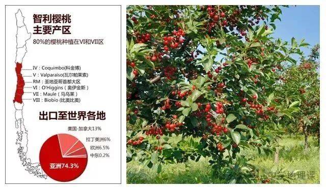 农业地理 关于车厘子你需知道的几个地理知识！